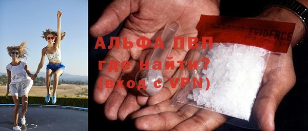 кокс Елизово
