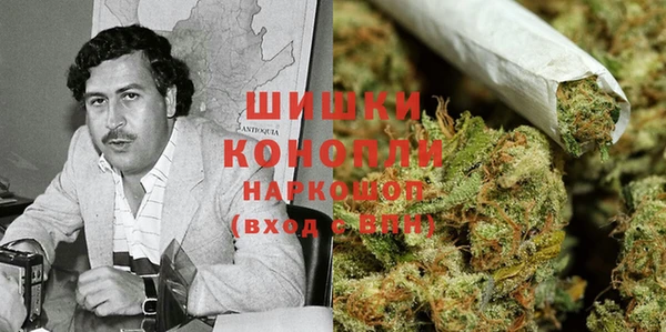 кокс Елизово
