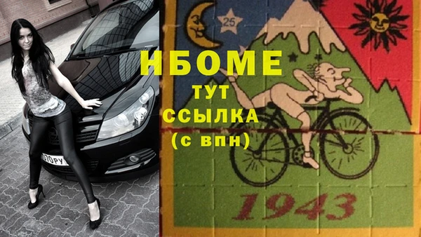 кокс Елизово