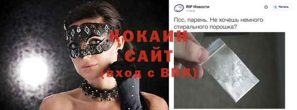 кокс Елизово