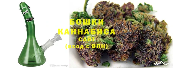 кокс Елизово