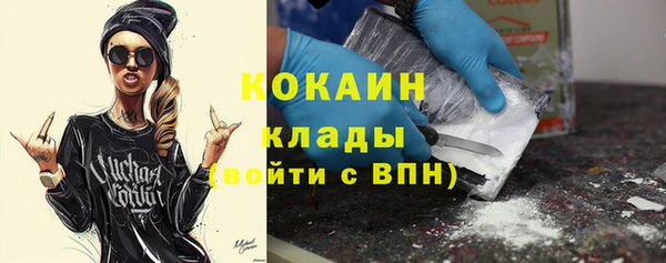 кокс Елизово