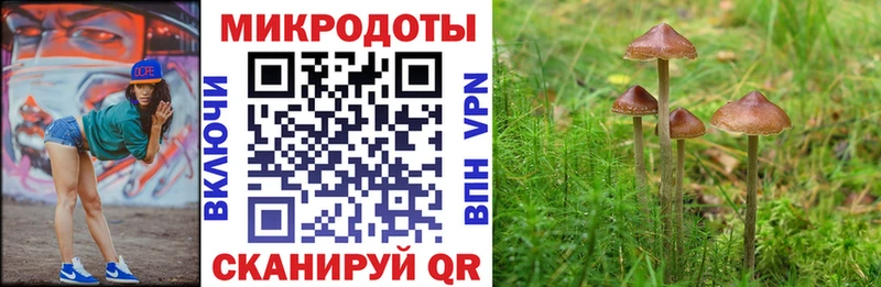 Купить  Алапаевск  Псилоцибиновые грибы Psilocybe 
